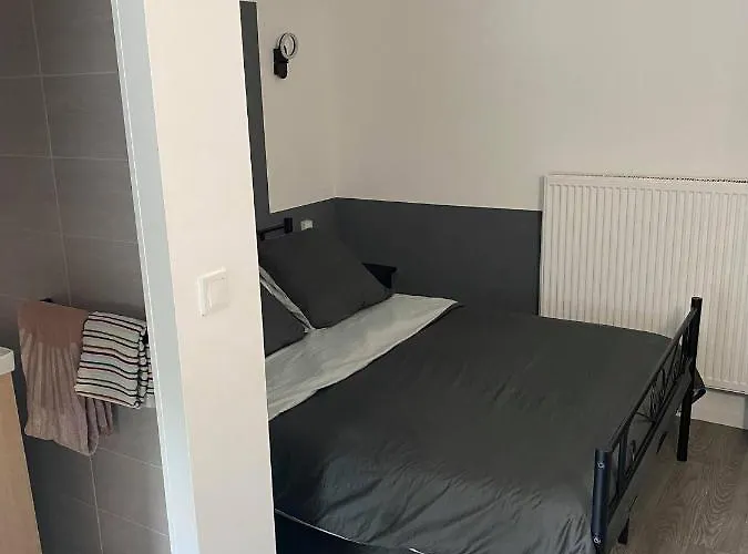 酒店 Le Parisien 兰斯